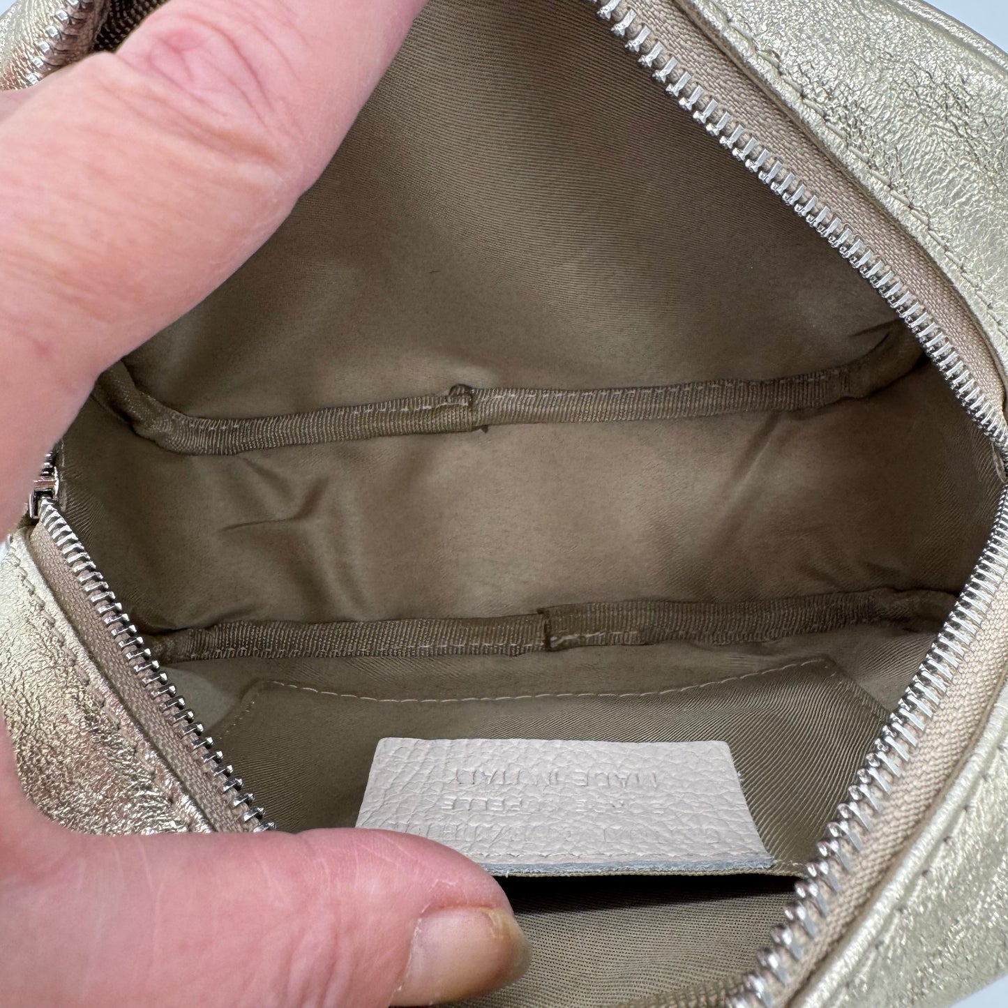 Leather Metallic Crossbody Bag